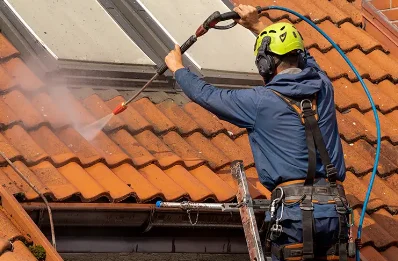 Démoussage et hydrofuge de toiture à Lambruisse